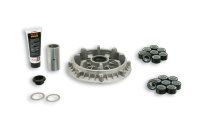 (image for) Malossi Variator for Yamaha T-Max 500 Carbureted