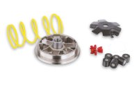 (image for) Malossi Variator for Genuine Buddy, Roughhouse 50