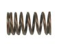 (image for) Valve Spring Outer for Honda Helix