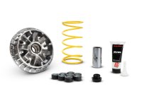(image for) Malossi Variator for Suzuki Burgman 400 2007-2009