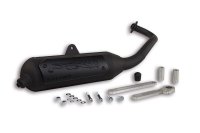 (image for) Exhaust Sys. Wild Lion Homologated
