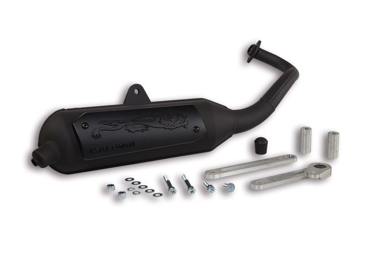 (image for) Exhaust Sys. Wild Lion Homologated