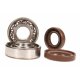 (image for) Crankshaft Bearings and Seals for Italjet Dragster 180cc