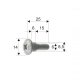 (image for) Bodywork screw Piaggio/Gilera 298086-575249 Bag of 10