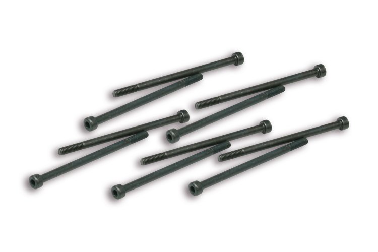 (image for) 10 Pivot Screws For Variator Lever
