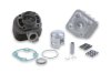 (image for) Malossi Cylinder Kit for Minarelli with 12mm Wristpin
