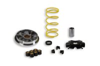 (image for) Malossi Variator for Italjet Velocifero