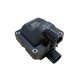 (image for) Ignition Coil 58120R - 828817