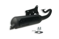 (image for) Exhaust Sys. Wild Lion Homologated