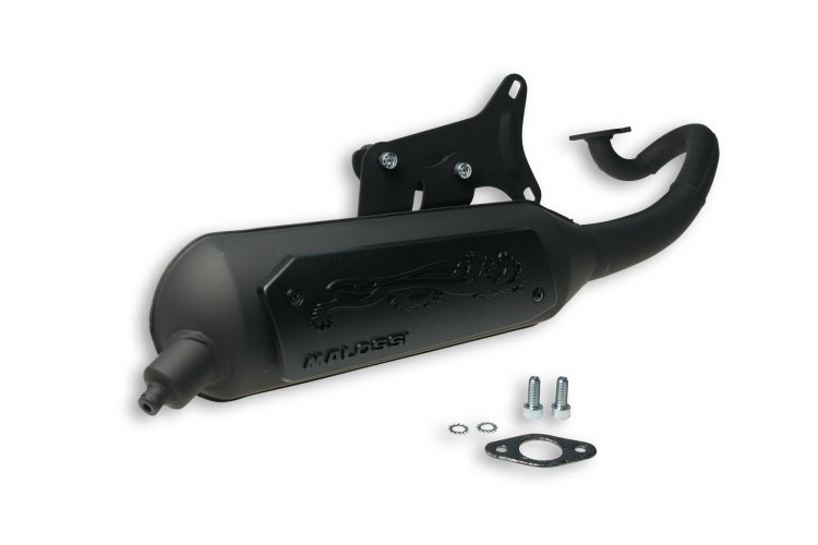 (image for) Exhaust Sys. Wild Lion Homologated