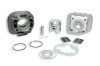 (image for) Malossi Cylinder Kit M317083 3 Pack