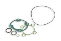 (image for) Malossi Gasket Set for 3112043