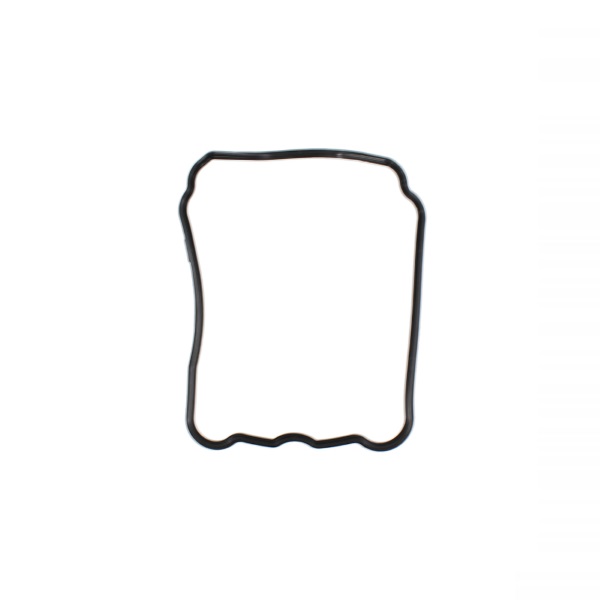 (image for) Valve Cover Gasket for Yamaha XMax 300 B74E119300